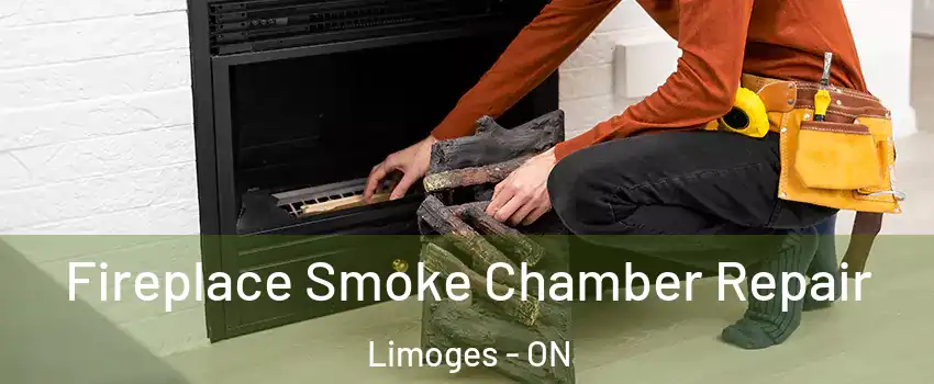  Fireplace Smoke Chamber Repair Limoges - ON