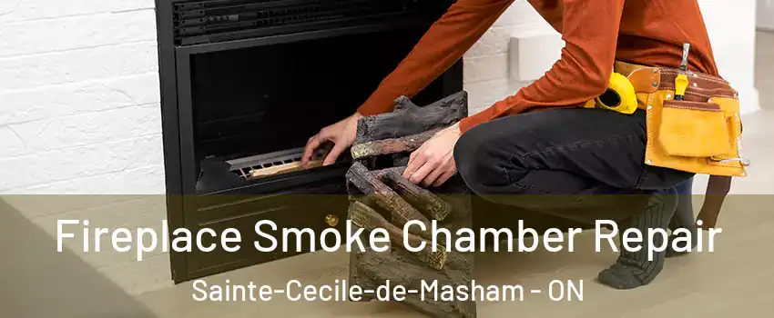  Fireplace Smoke Chamber Repair Sainte-Cecile-de-Masham - ON