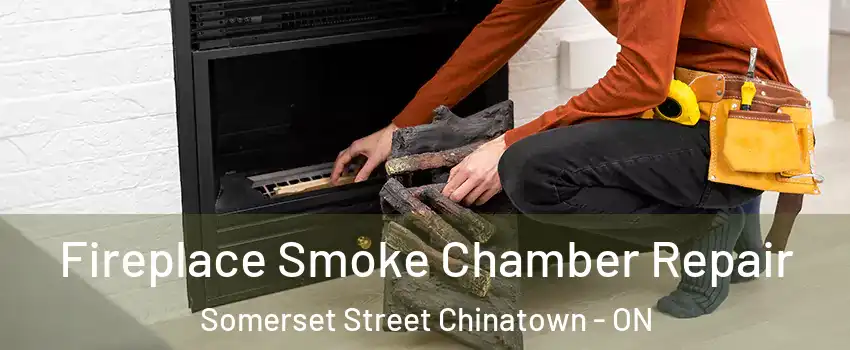  Fireplace Smoke Chamber Repair Somerset Street Chinatown - ON