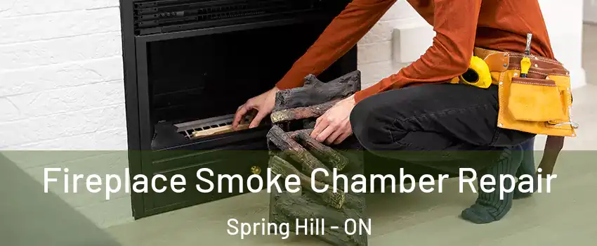  Fireplace Smoke Chamber Repair Spring Hill - ON