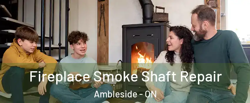  Fireplace Smoke Shaft Repair Ambleside - ON