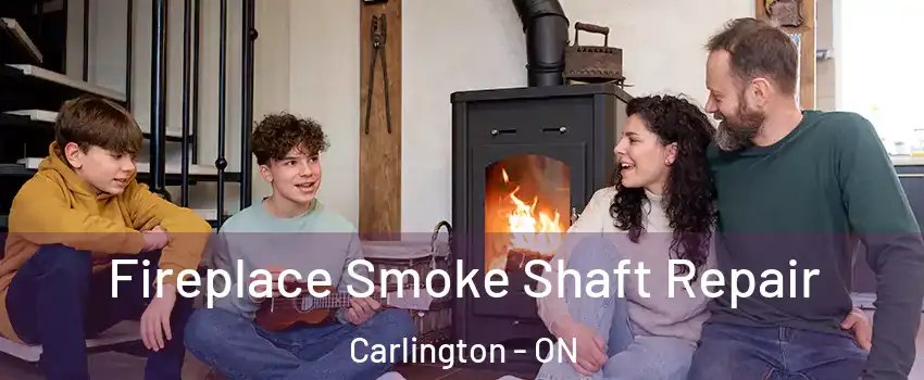  Fireplace Smoke Shaft Repair Carlington - ON