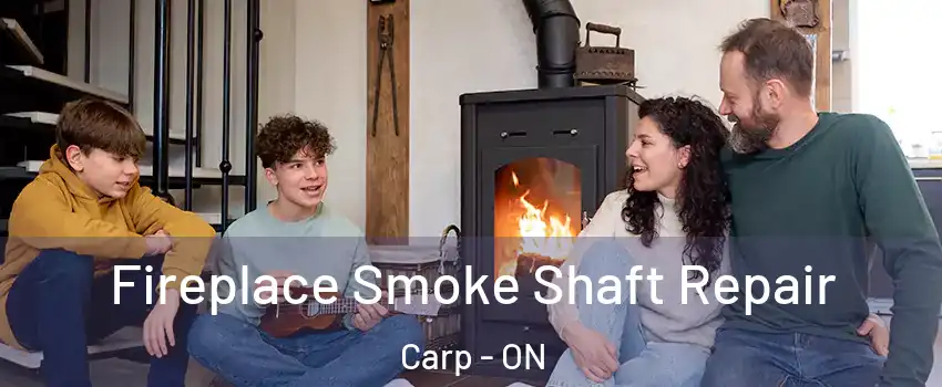  Fireplace Smoke Shaft Repair Carp - ON