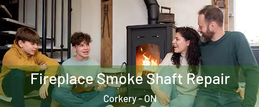  Fireplace Smoke Shaft Repair Corkery - ON