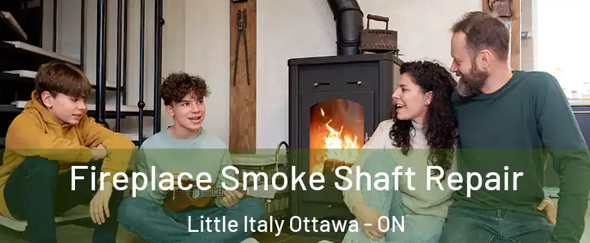  Fireplace Smoke Shaft Repair Little Italy Ottawa - ON