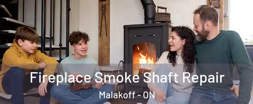  Fireplace Smoke Shaft Repair Malakoff - ON