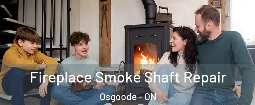  Fireplace Smoke Shaft Repair Osgoode - ON