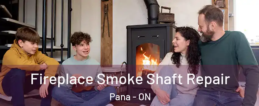  Fireplace Smoke Shaft Repair Pana - ON