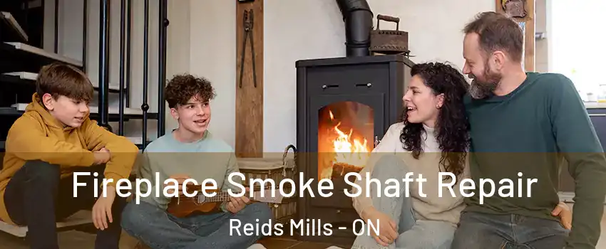  Fireplace Smoke Shaft Repair Reids Mills - ON