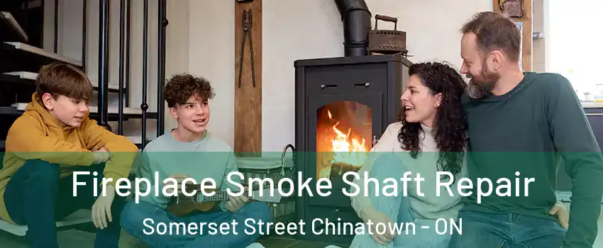  Fireplace Smoke Shaft Repair Somerset Street Chinatown - ON