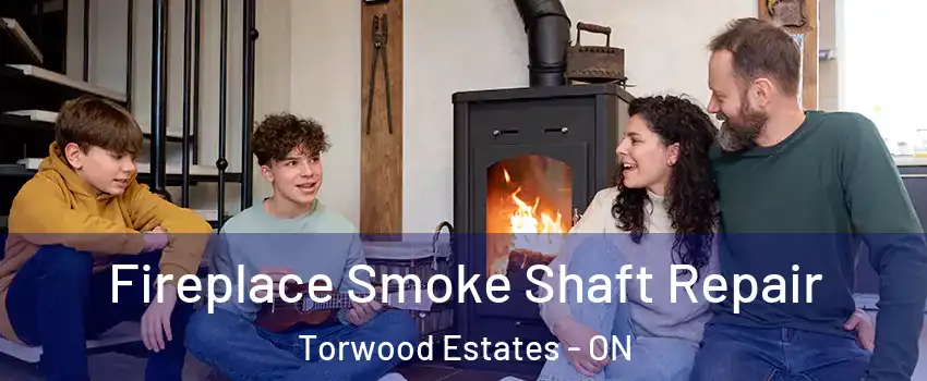  Fireplace Smoke Shaft Repair Torwood Estates - ON