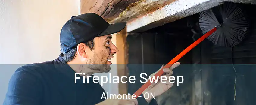  Fireplace Sweep Almonte - ON