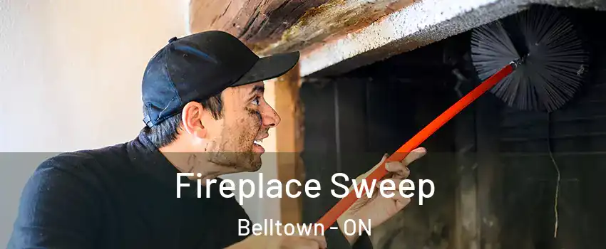  Fireplace Sweep Belltown - ON