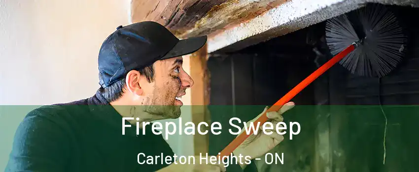  Fireplace Sweep Carleton Heights - ON