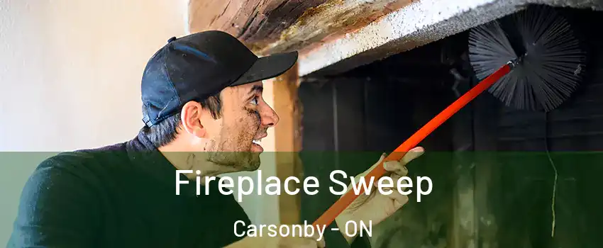  Fireplace Sweep Carsonby - ON