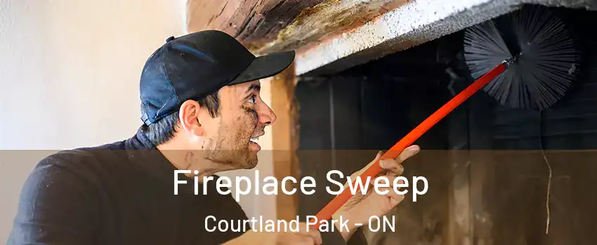  Fireplace Sweep Courtland Park - ON