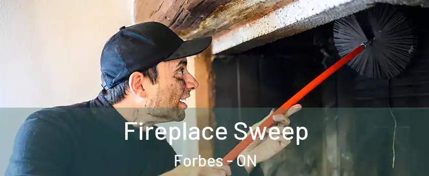  Fireplace Sweep Forbes - ON