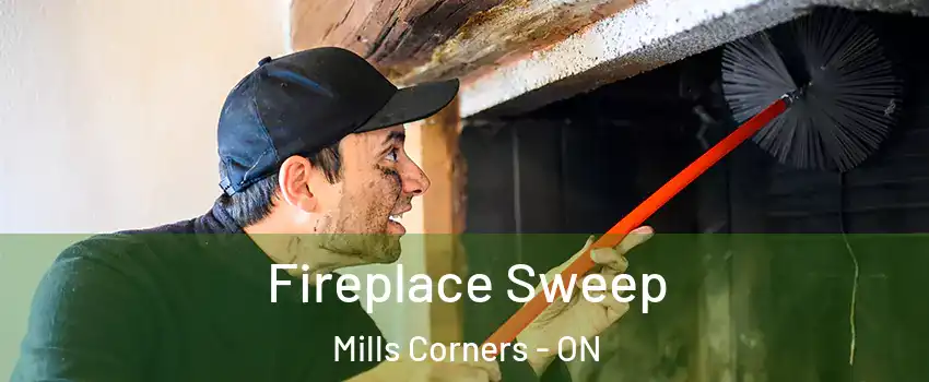  Fireplace Sweep Mills Corners - ON