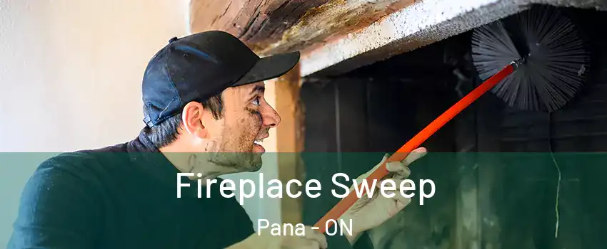  Fireplace Sweep Pana - ON