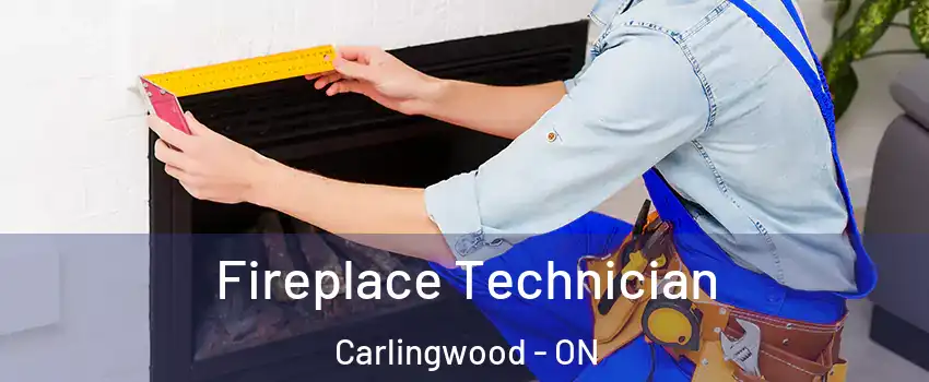  Fireplace Technician Carlingwood - ON