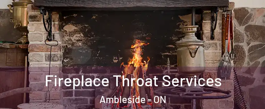  Fireplace Throat Services Ambleside - ON