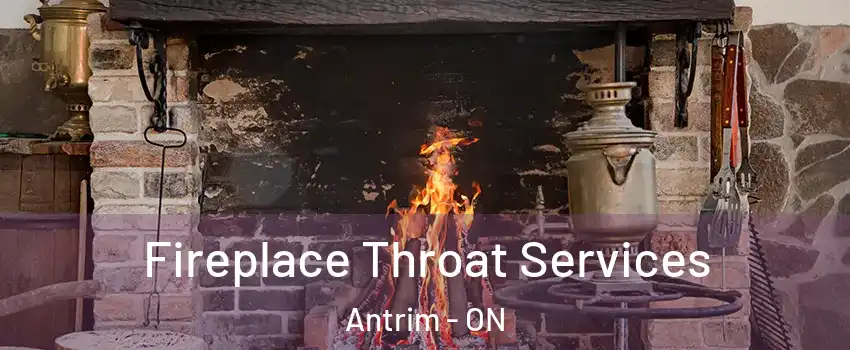  Fireplace Throat Services Antrim - ON