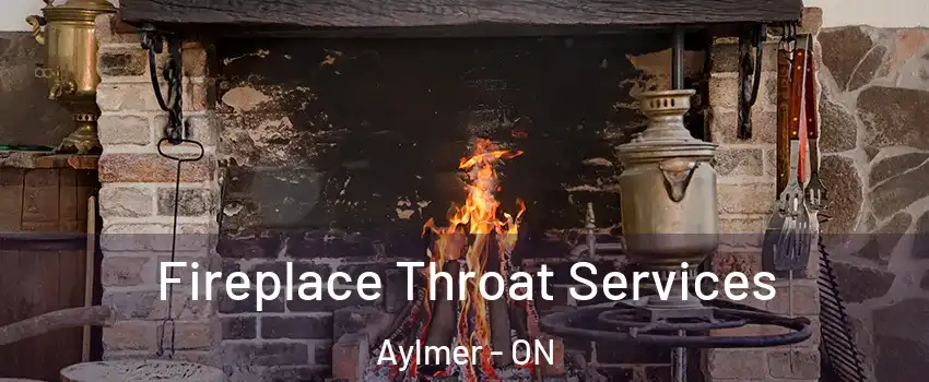  Fireplace Throat Services Aylmer - ON