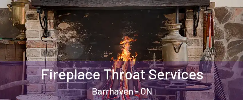  Fireplace Throat Services Barrhaven - ON