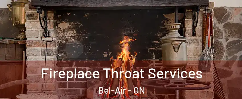  Fireplace Throat Services Bel-Air - ON