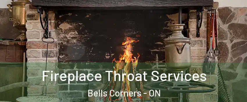  Fireplace Throat Services Bells Corners - ON