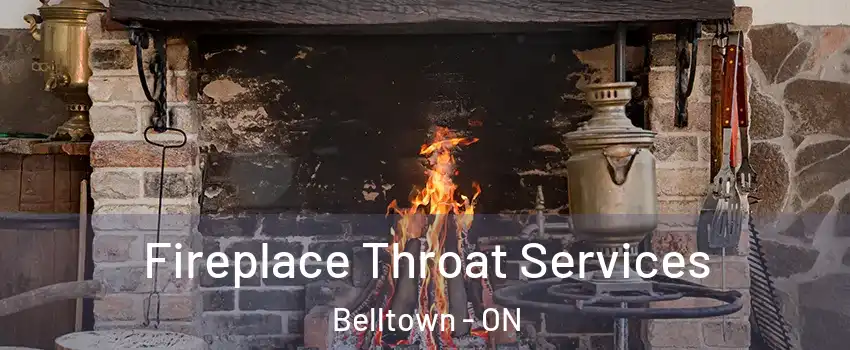  Fireplace Throat Services Belltown - ON