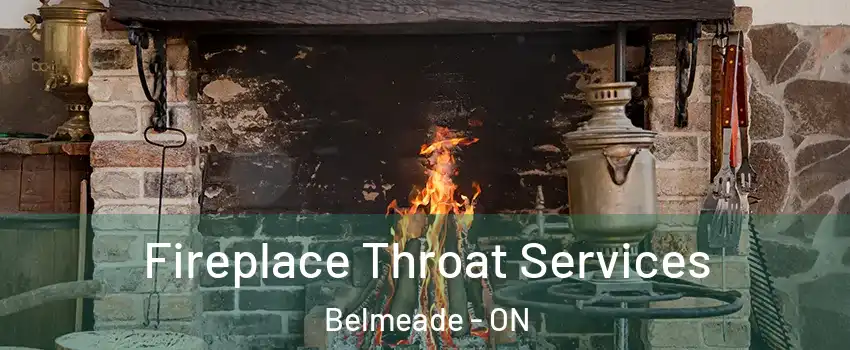  Fireplace Throat Services Belmeade - ON