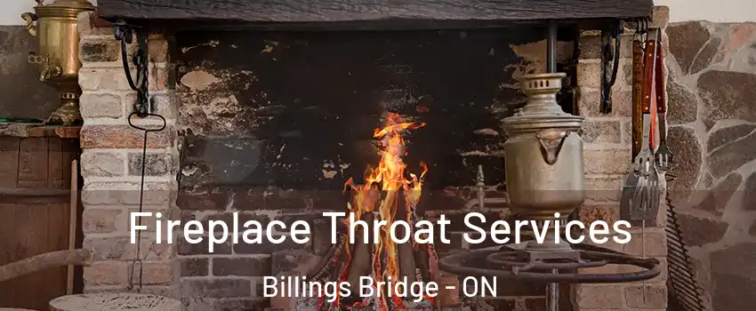  Fireplace Throat Services Billings Bridge - ON