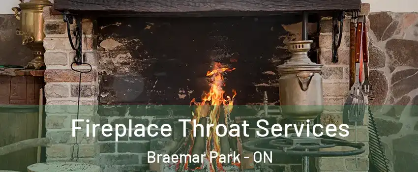  Fireplace Throat Services Braemar Park - ON