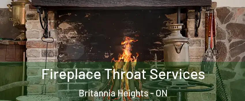  Fireplace Throat Services Britannia Heights - ON