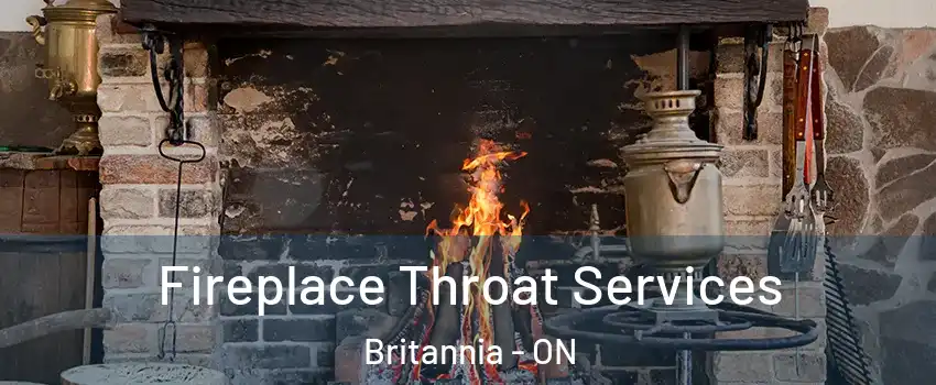  Fireplace Throat Services Britannia - ON