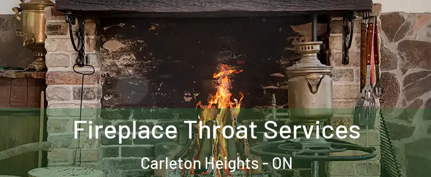  Fireplace Throat Services Carleton Heights - ON