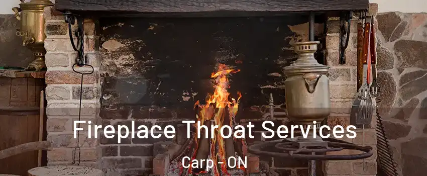  Fireplace Throat Services Carp - ON