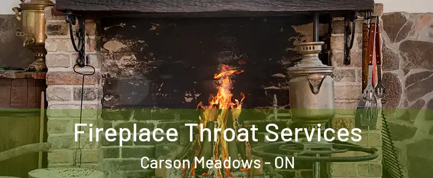  Fireplace Throat Services Carson Meadows - ON