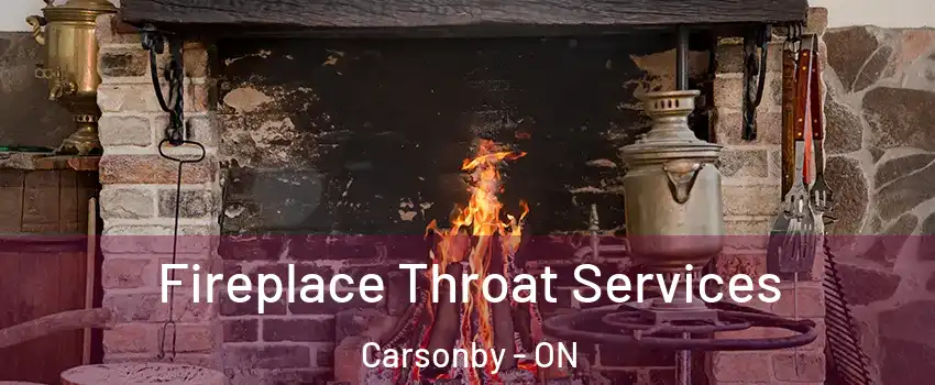  Fireplace Throat Services Carsonby - ON