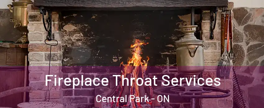  Fireplace Throat Services Central Park - ON