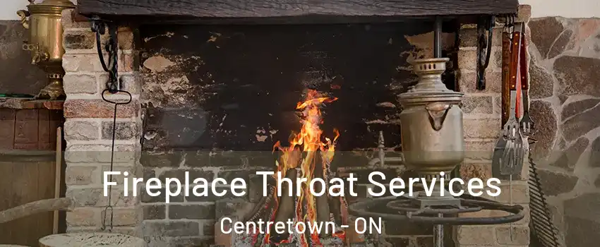  Fireplace Throat Services Centretown - ON