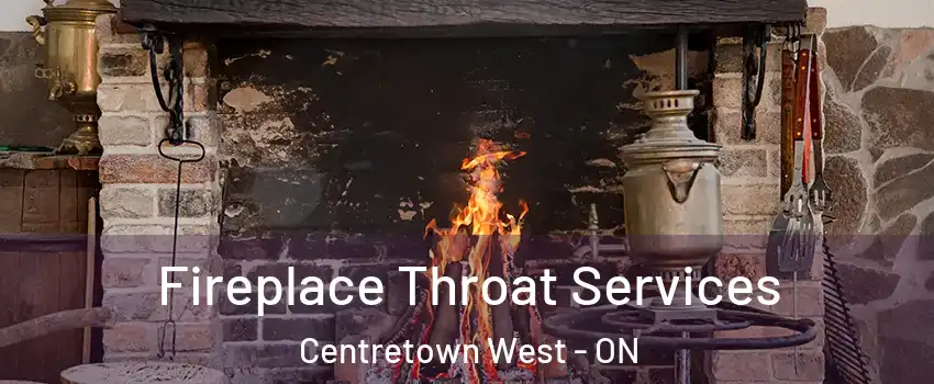  Fireplace Throat Services Centretown West - ON