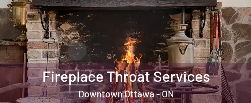  Fireplace Throat Services Downtown Ottawa - ON