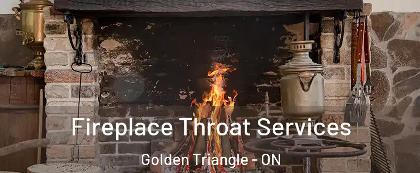  Fireplace Throat Services Golden Triangle - ON