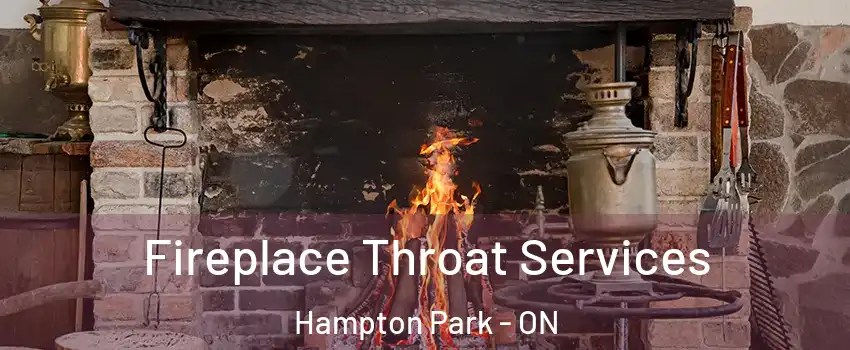  Fireplace Throat Services Hampton Park - ON