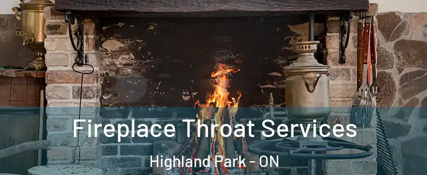  Fireplace Throat Services Highland Park - ON