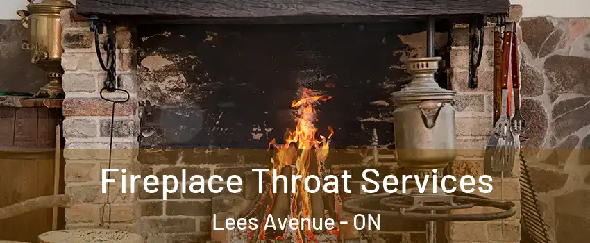  Fireplace Throat Services Lees Avenue - ON