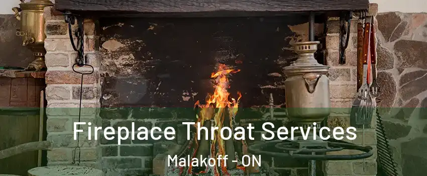  Fireplace Throat Services Malakoff - ON