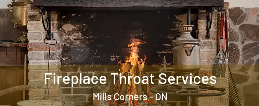  Fireplace Throat Services Mills Corners - ON